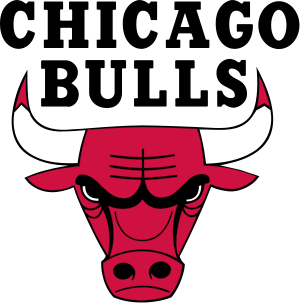 Official Chicago Bulls