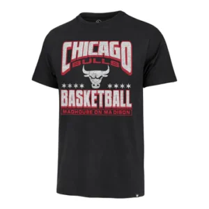 CHICAGO BULLS CITY EDITION OVERVIEW FRANKLIN T-SHIRT
