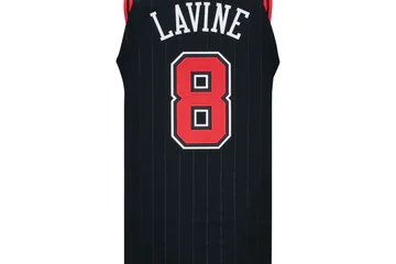 Chicago Bulls Authentic Zach LaVine Nike Statement Jersey