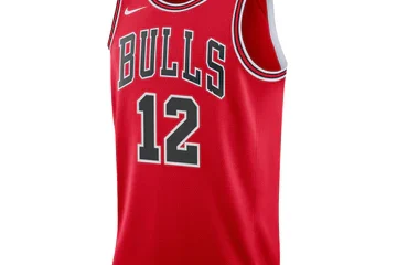 Chicago Bulls Ayo Dosunmu Nike Icon Swingman Jersey