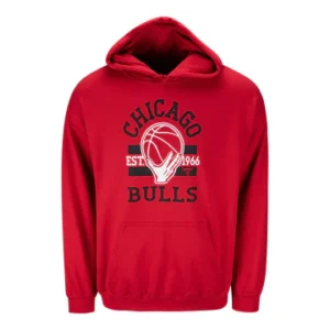 Chicago Bulls Graphic IOG hoodie